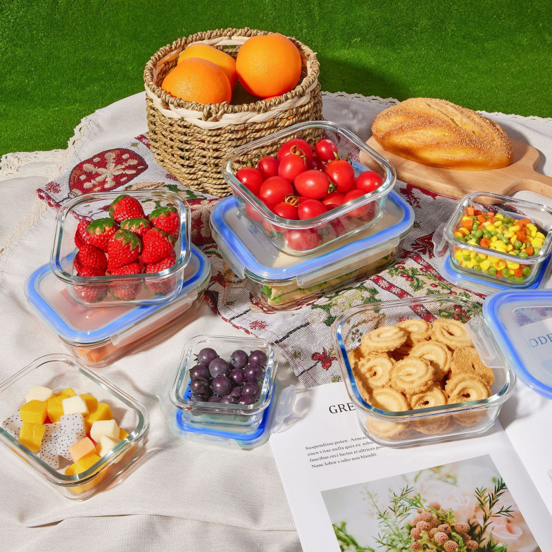 8-teiliges Set Versiegelte Gla – Meal Prep Glass Containers Oven Safe Bewertung und Preis