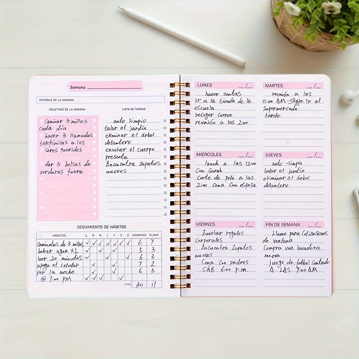 52-Wochen-Englisch-Wochenplane – Meal Prep Planner Bewertung und Preis